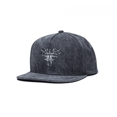 Кепка Fallen INSIGNIA FLAT WASHED BLACK SPIDER WEB